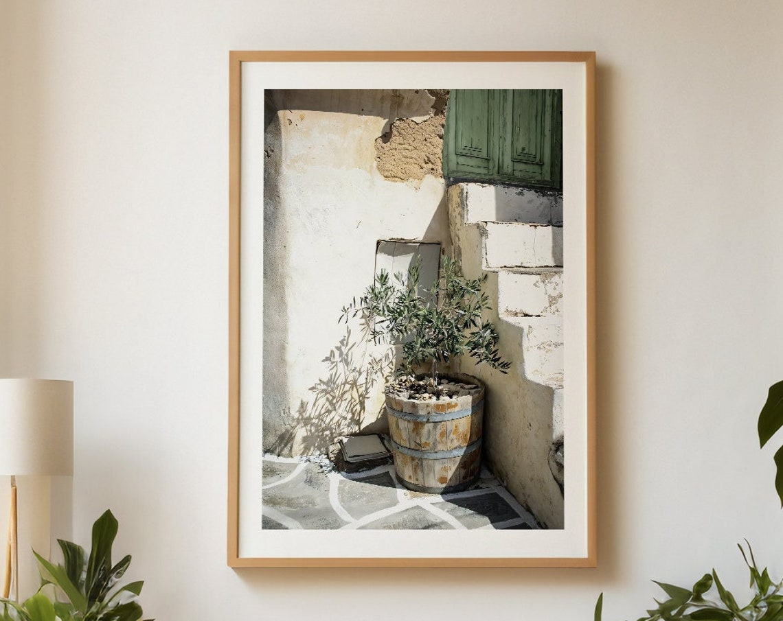 Olive Tree in Wooden Barrel by Mediterranean Whitewashed Wall Poster - Image 2