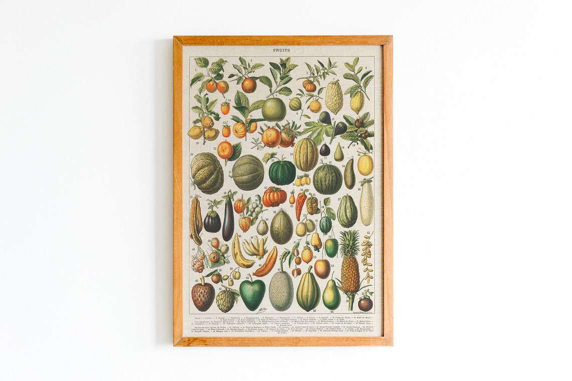Adolphe Millot Fruits 1909 Vintage Botanical Chart Art Print - Image 2