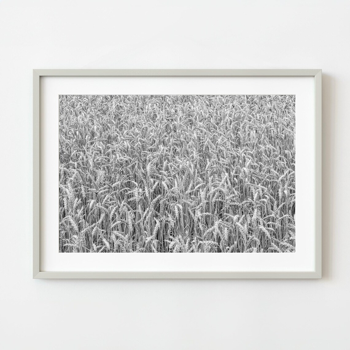 Wheat Field Close Up Black and White Nature Photo Art Poster