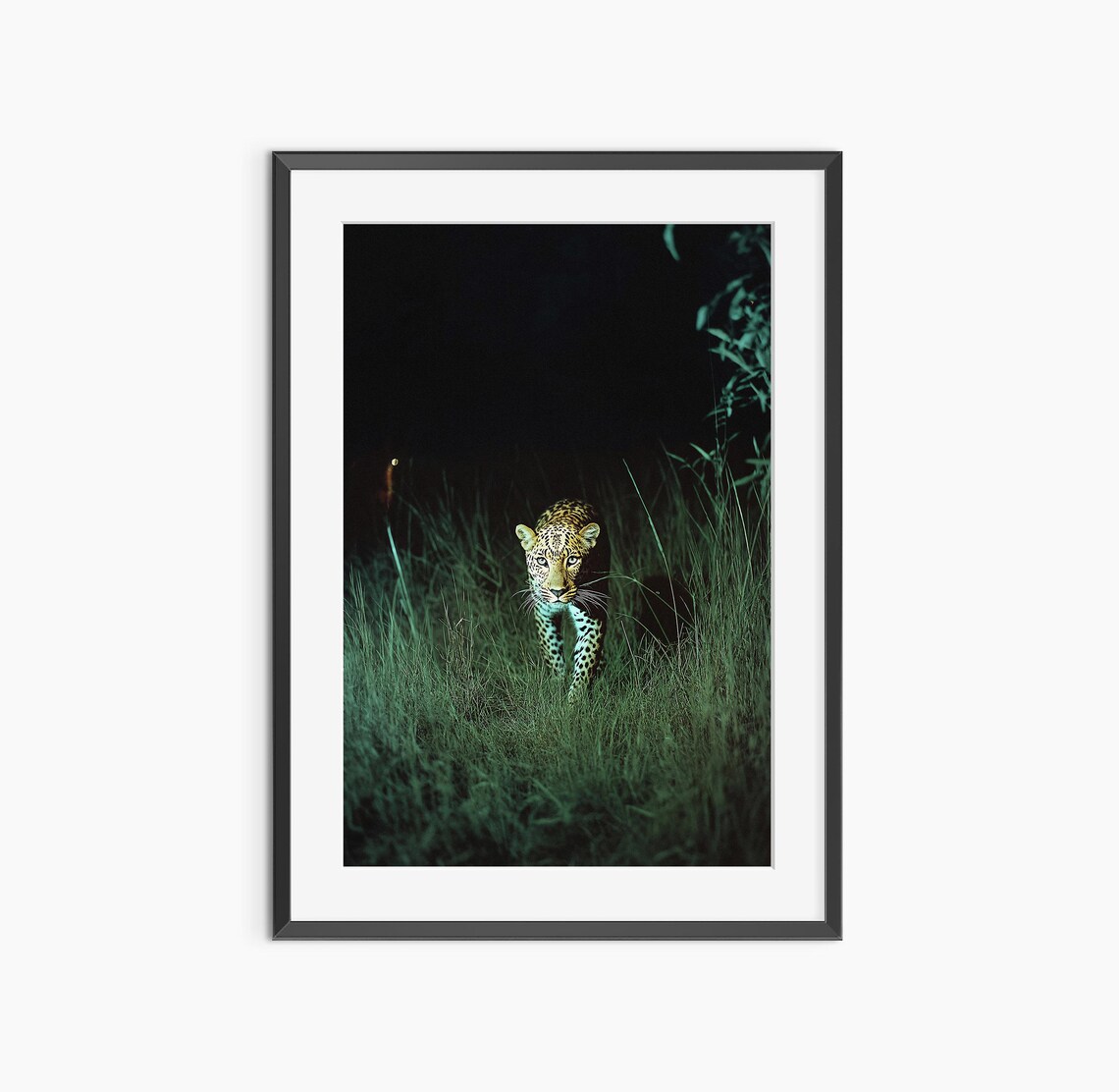 Cheetah Print Photography Animal Poster Nature Prints Leopard Fine Art Museum Quality