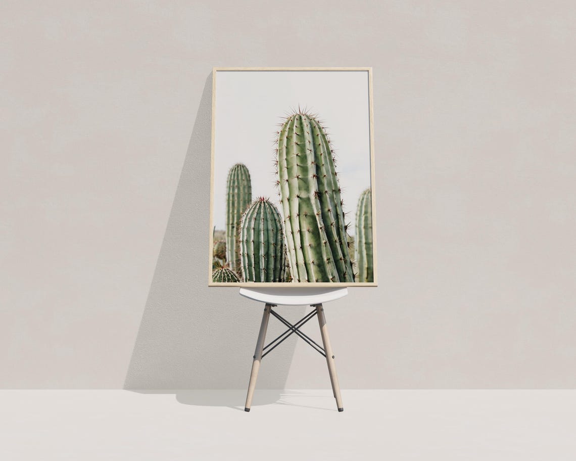 Tall Columnar Cactus Green Spines Minimalist Desert Photo Poster - Image 3