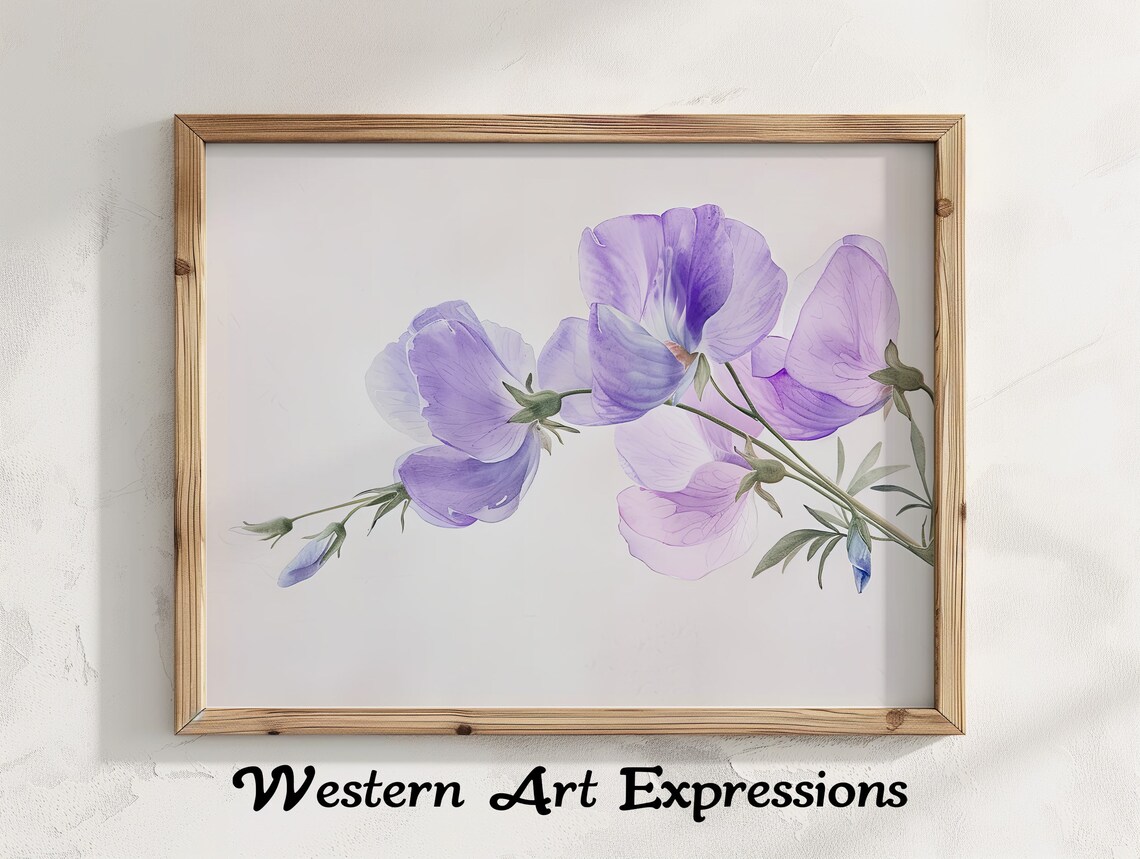 Purple Sweet Pea Blossoms Soft Watercolor Botanical Art Poster