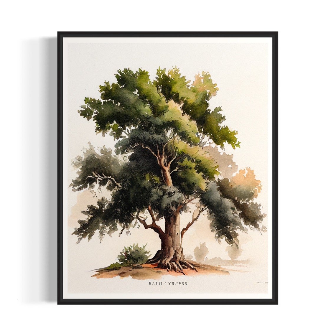 Bald Cyrpess Tree Art Print Bald Cyrpess Tree Wall Art Poster