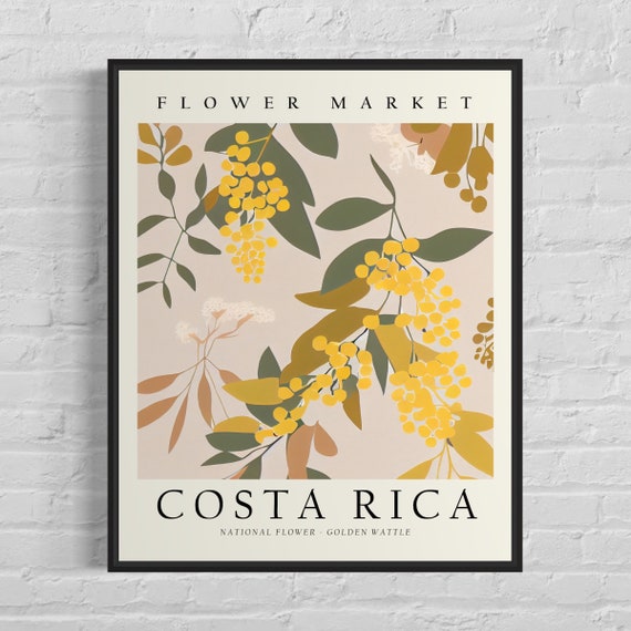 Costa Rica Flower Market Botanical Art Print