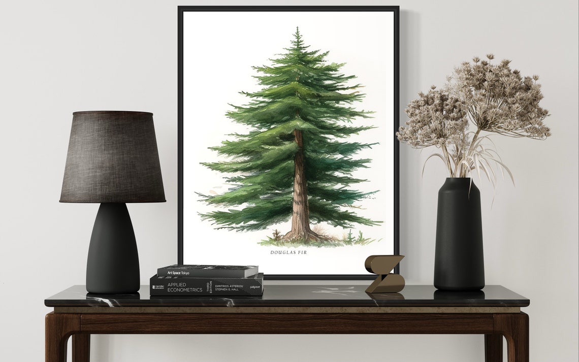 Douglas Fir Evergreen Watercolor Botanical Tree Illustration Poster - Image 3
