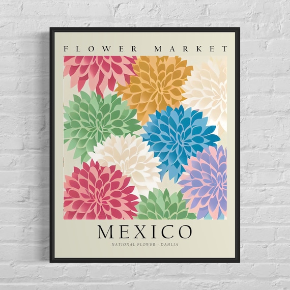 Mexico National Flower Dahlia 1960s Botanical Art Print