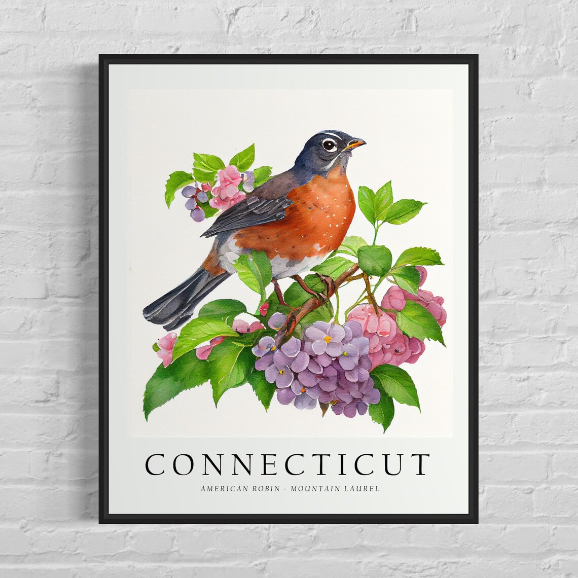 Connecticut State Bird Art Print, State Flower Wall Art