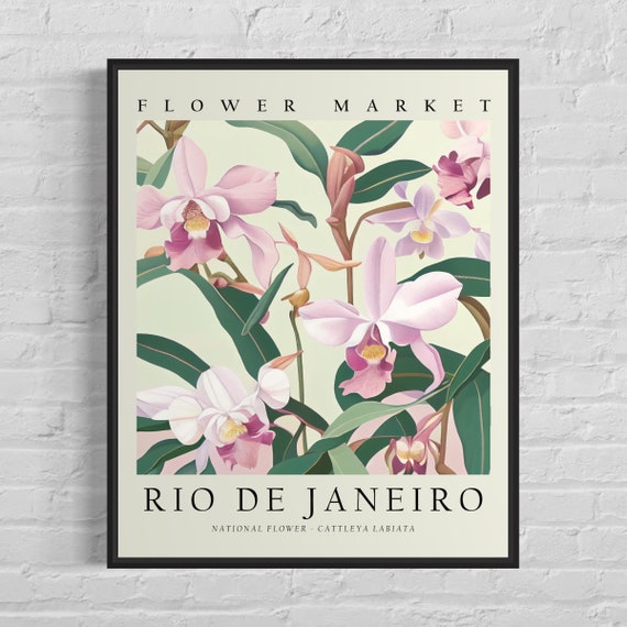 Rio De Janeiro Brazil Flower Market Art Print Cattleya Labiata Flower Wall Art Poster
