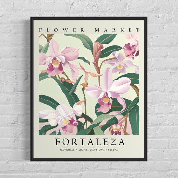 Fortaleza Brazil Flower Market Art Print Fortaleza Flower Poster Wall Art