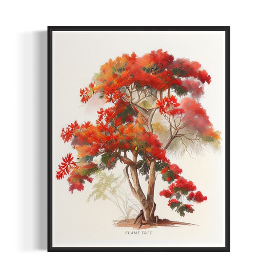 Flame Tree Art Print Flame Tree Wall Art Poster