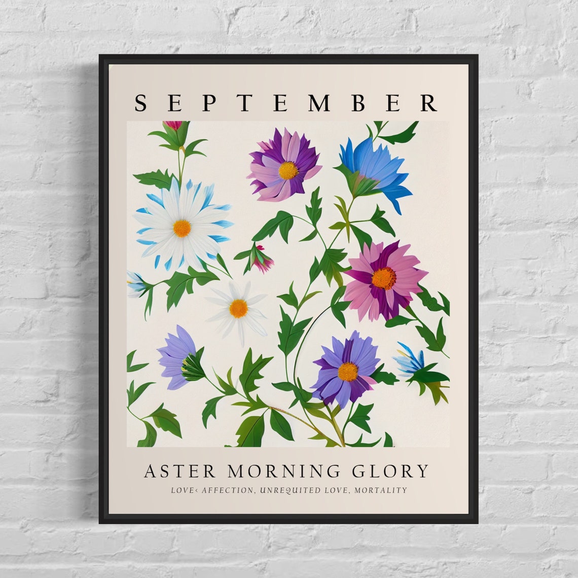 September Birth Flower Aster Morning Glory Botanical Art Poster