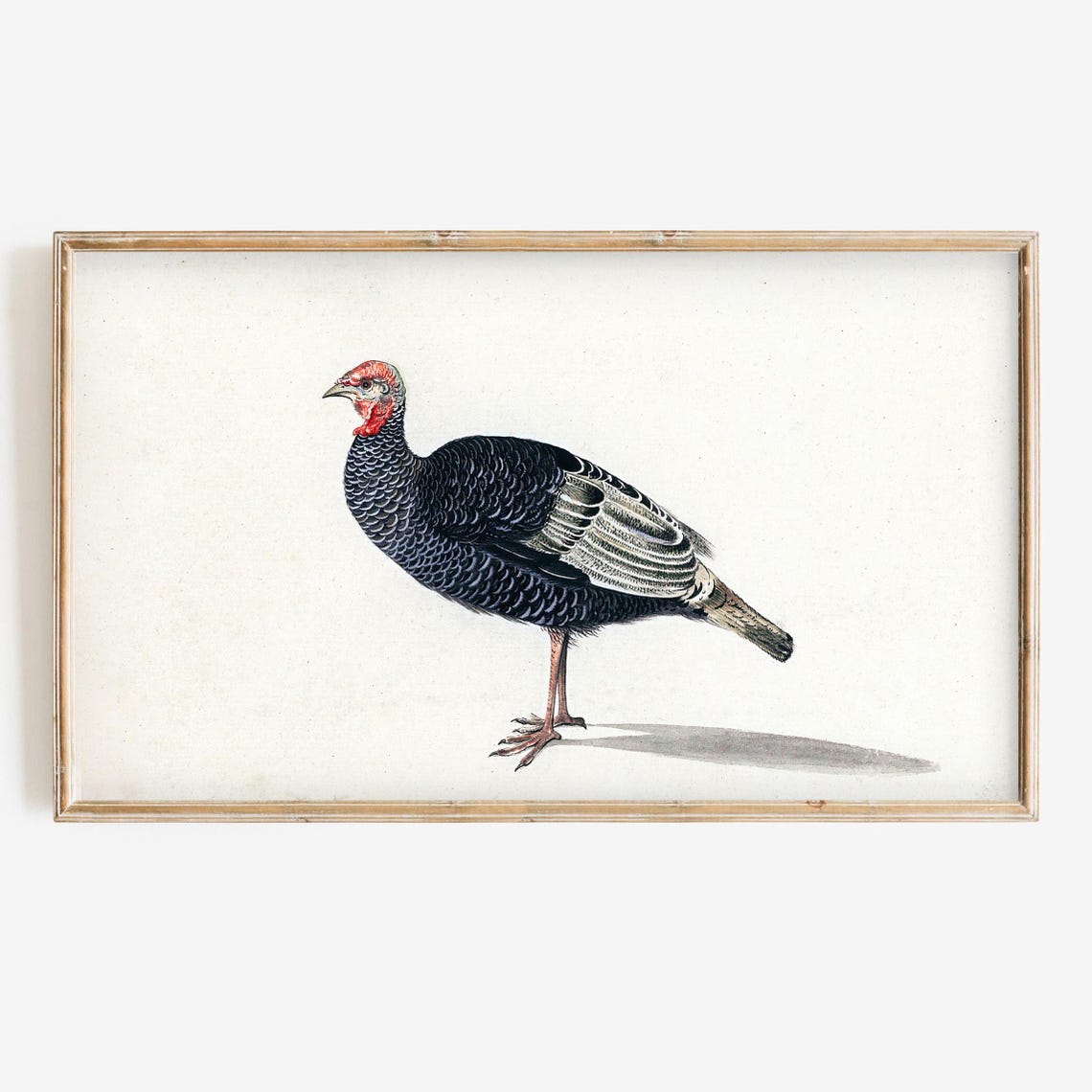 Vintage Turkey Illustration Thanksgiving Fall Farmhouse Art Poster