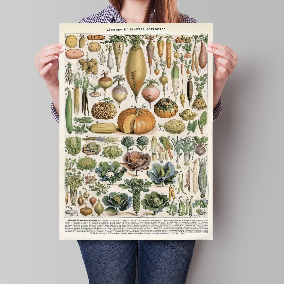 Vintage French Vegetable Chart Légumes Botanical Kitchen Art Poster - Image 4