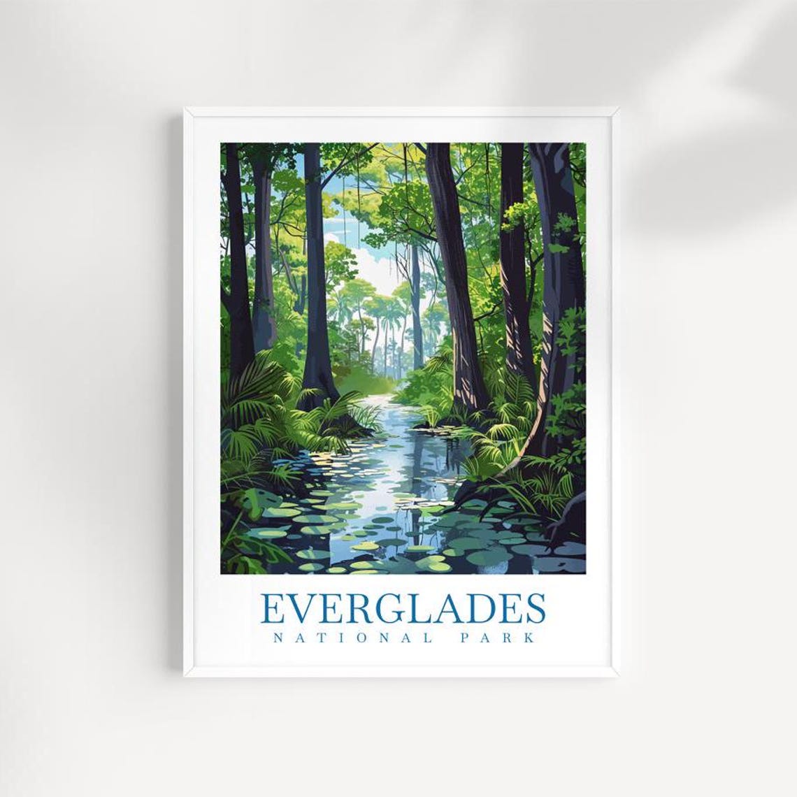 Everglades National Park Forest Creek Reflections Poster Art