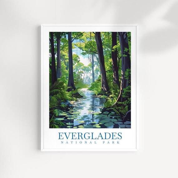 Everglades National Park Forest Creek Reflections Poster Art
