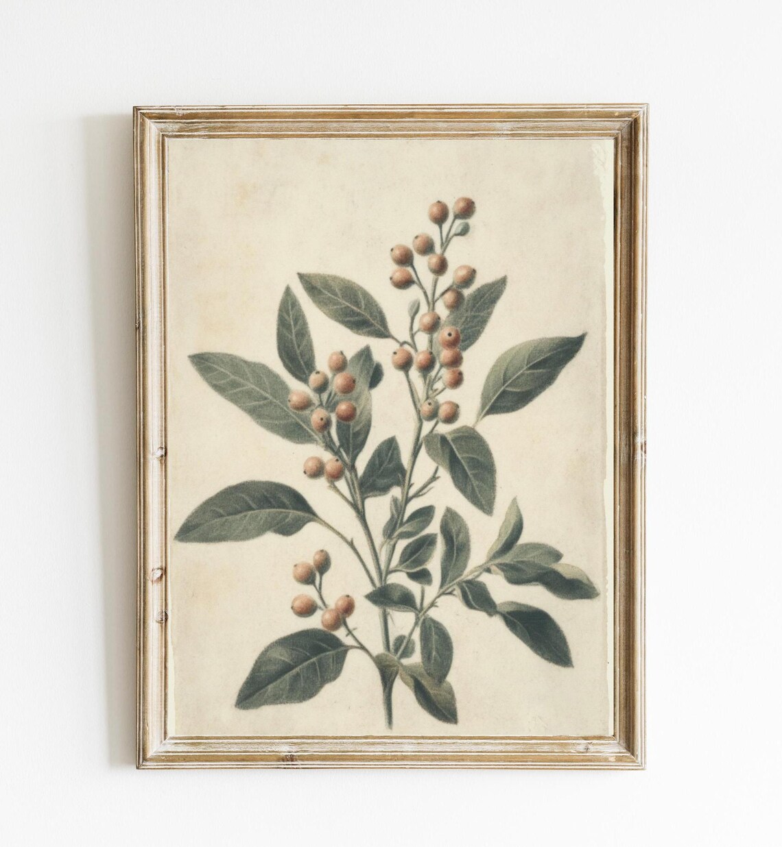 Vintage Botanical Print, Cottage Spring Kitchen Decor