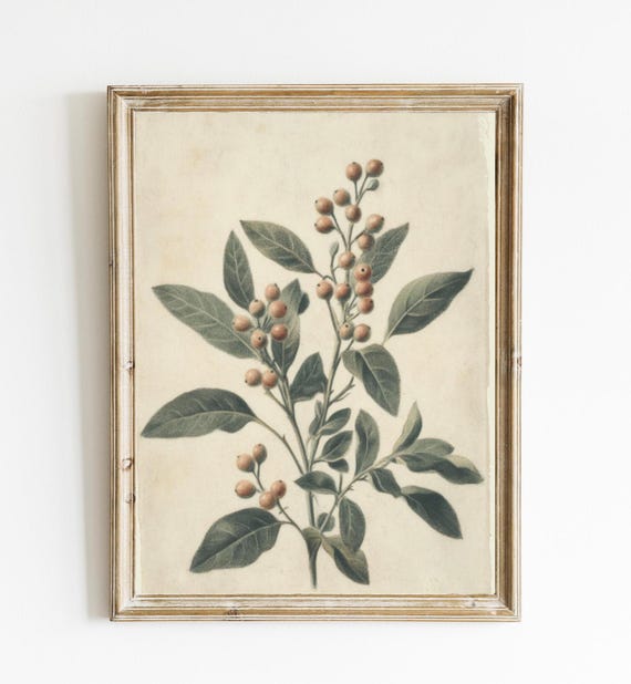 Vintage Botanical Print, Cottage Spring Kitchen Decor