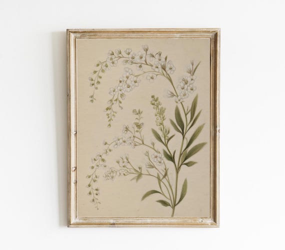 Botanical Sketch Vintage Farmhouse Art Print