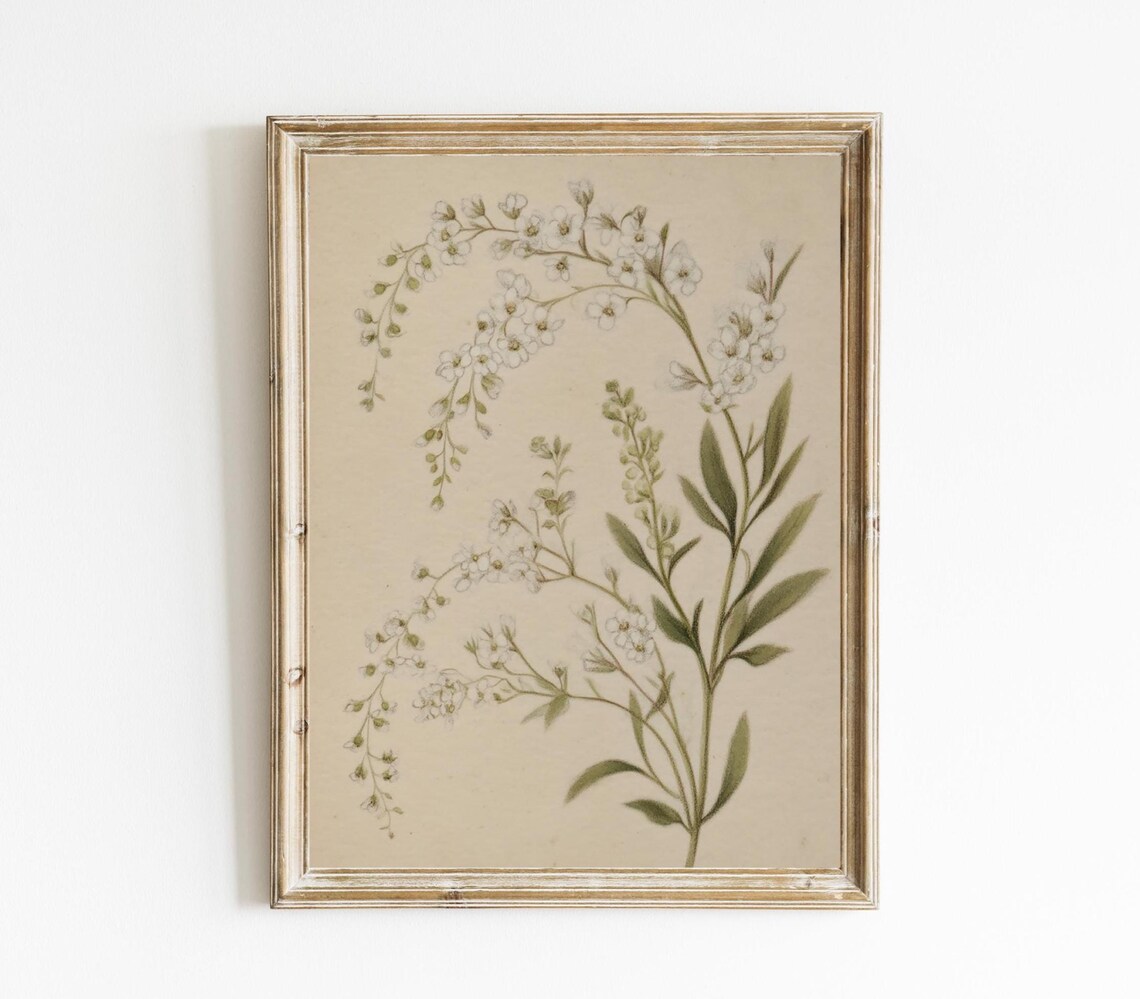 Botanical Sketch Vintage Farmhouse Art Print
