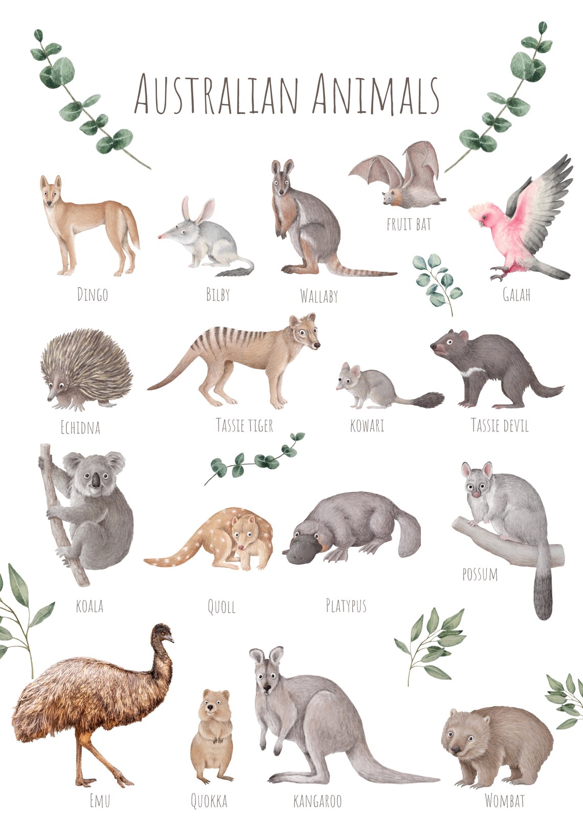 Australian Animals Poster, Aussie Wildlife Art Print - Image 6
