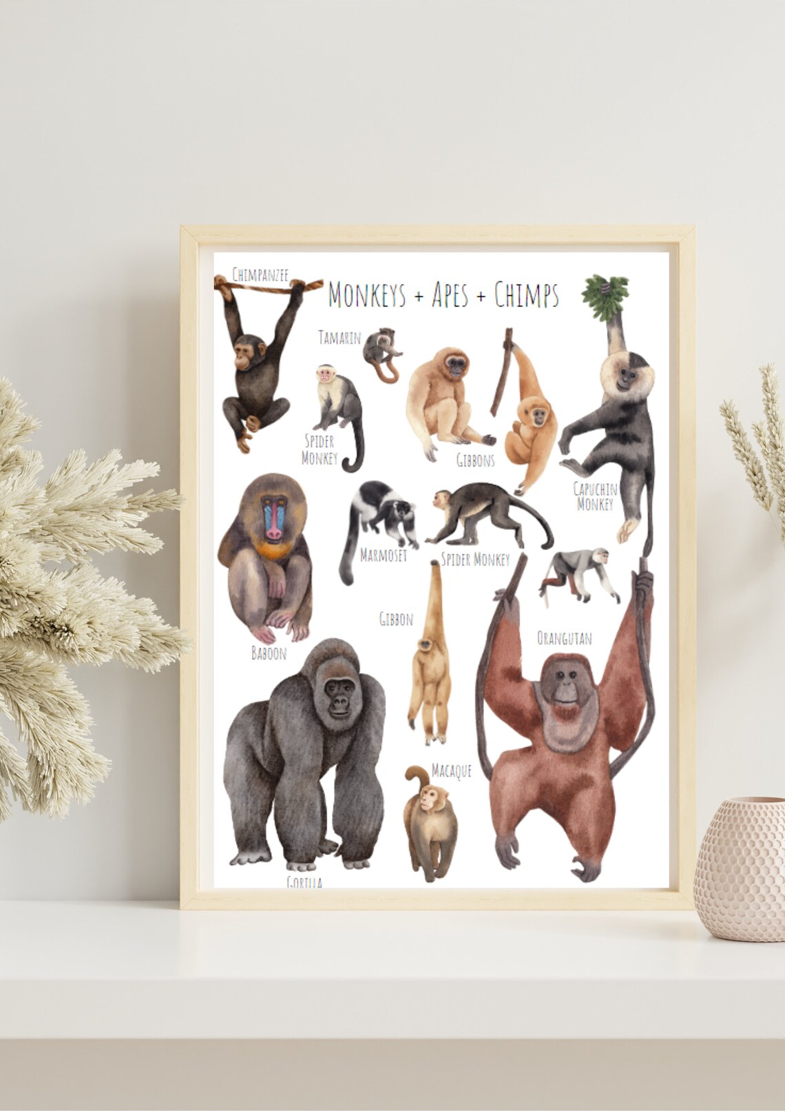 Watercolor Monkeys Apes and Chimps Species Chart Kids Room Art Poster