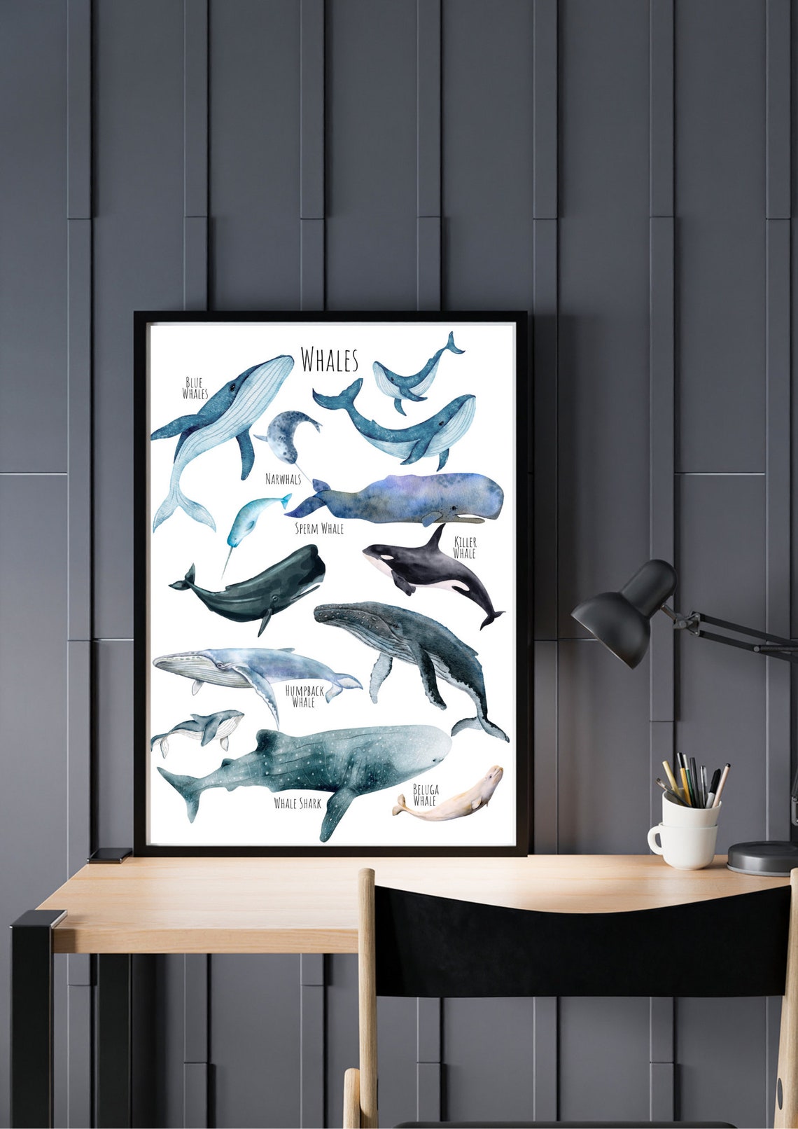Whale Species Watercolor Chart with Blue and Humpback Whales Poster