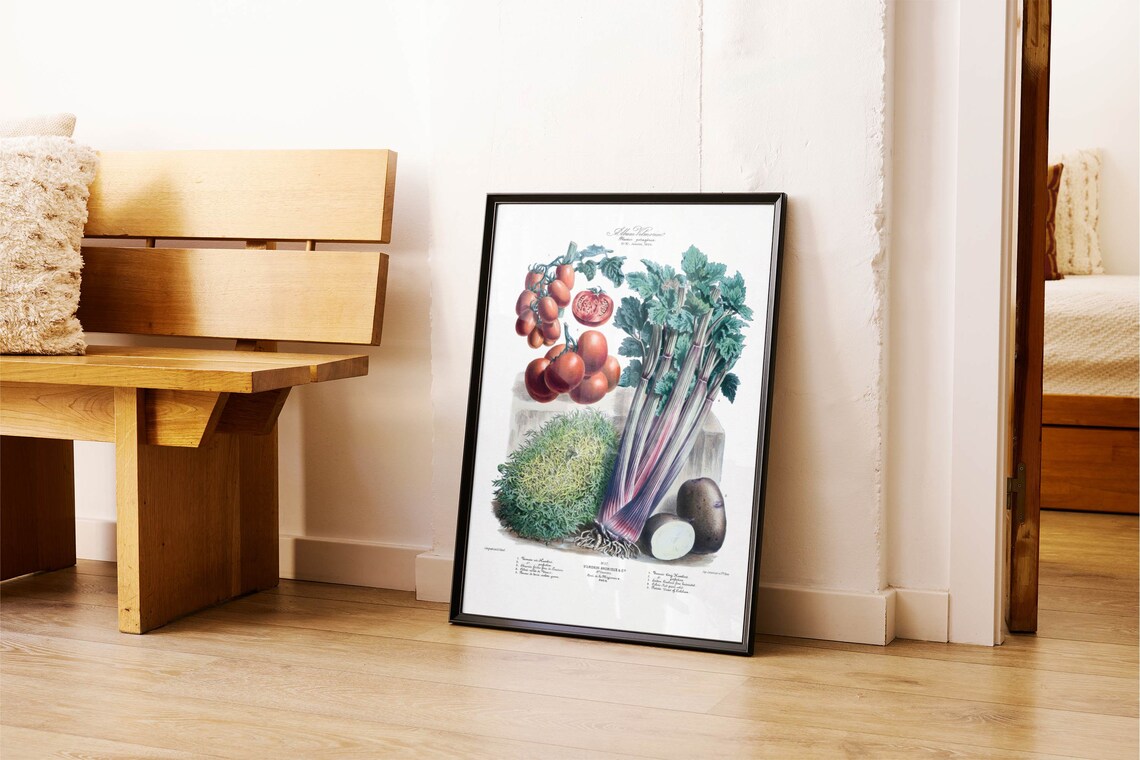Vilmorin French Heirloom Vegetable Botanical Illustration Art Poster - Image 2