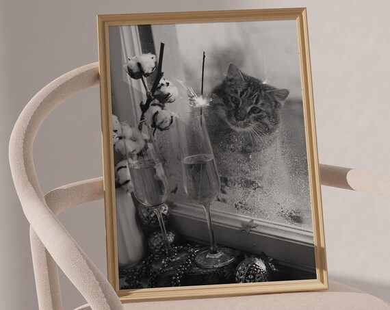 Cat Watching Champagne Flutes Black White Photography Poster