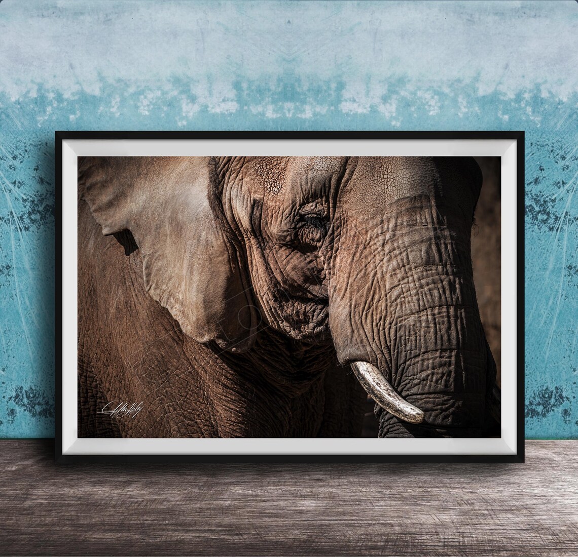 Elephant Face Close Up Wise Eye and Tusk Warm Wildlife Photo Poster