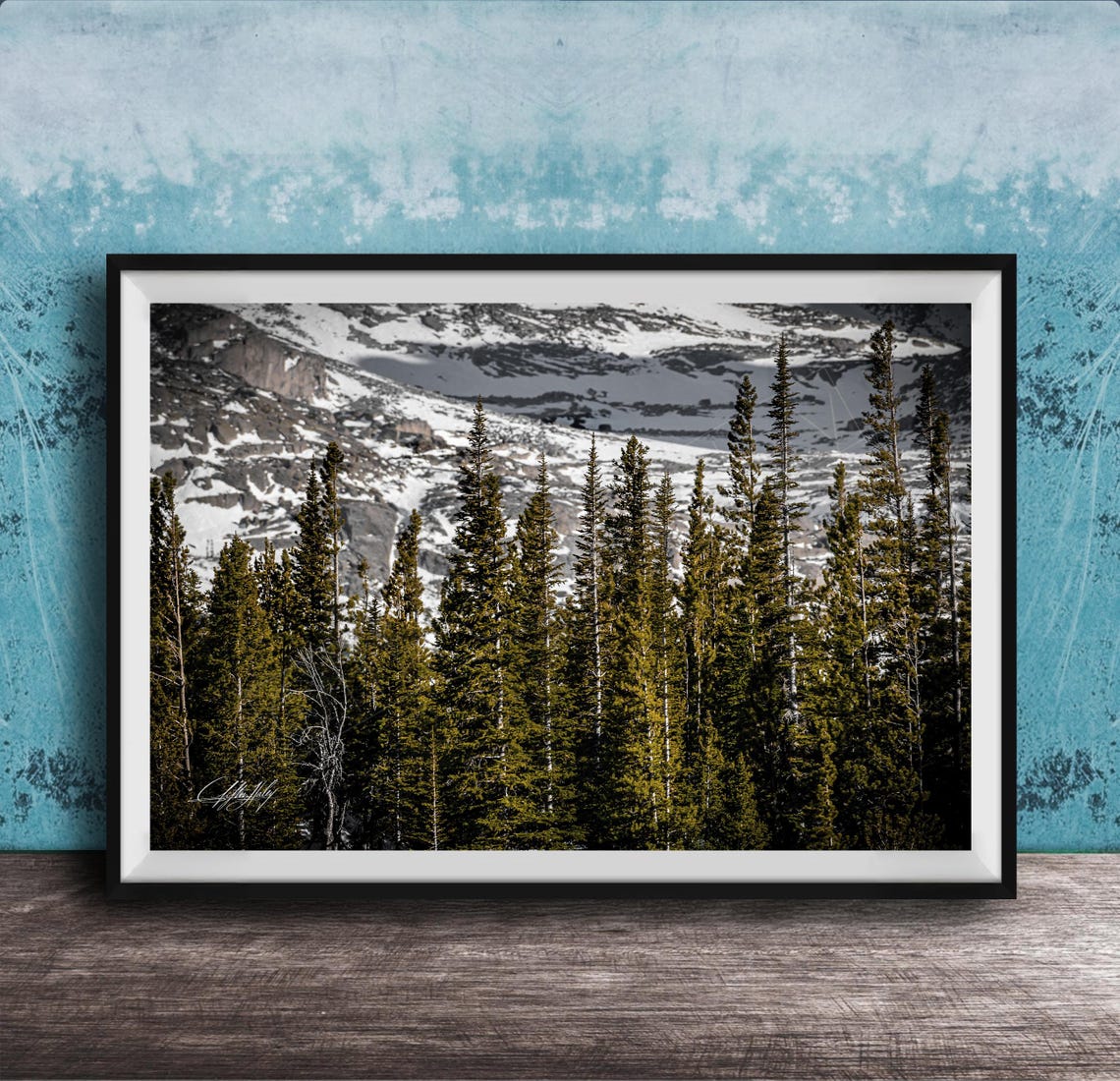 Rocky Mountain Landscape Print Evergreen Spruce Forest Scene