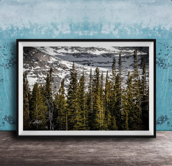 Rocky Mountain Landscape Print Evergreen Spruce Forest Scene