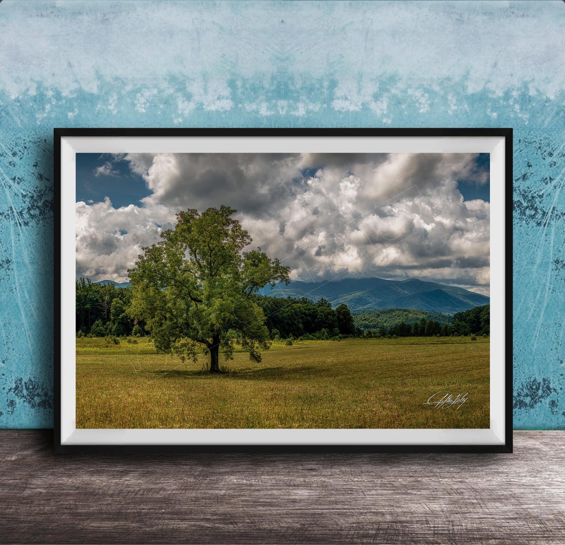 Lone Tree In Green Meadow With Smoky Mountains Cloudy Sky Poster