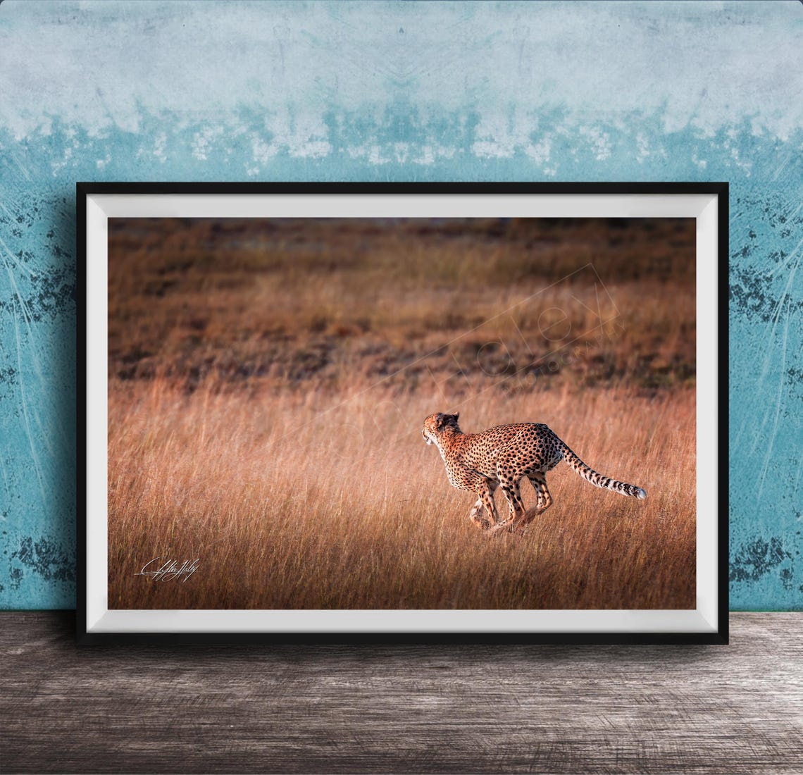 Cheetah Wall Art Bold Boho Safari Style Unframed