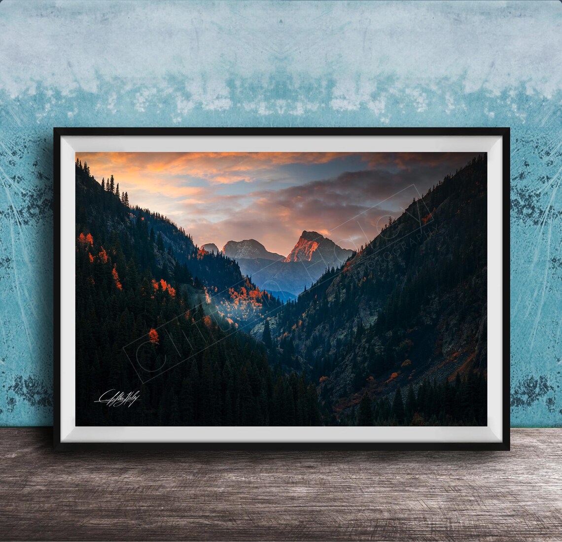 Mountain Valley Sunrise Golden Peaks Evergreen Forest Photo Poster