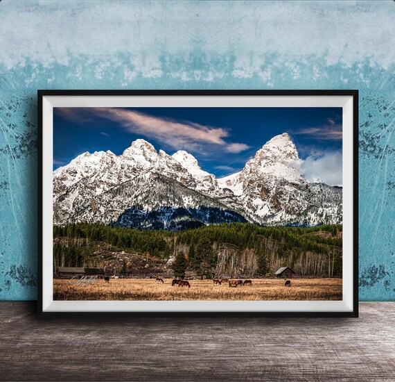 Cowboy Country Wild Horses Rustic Western Art Print