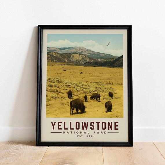 Yellowstone National Park Bison Herd Mountain Wildlife Travel Poster