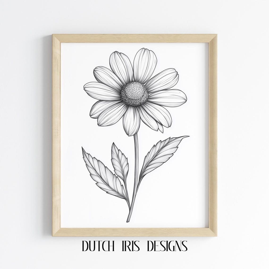 Echinacea Coneflower Black Line Drawing Elegant Botanical Poster