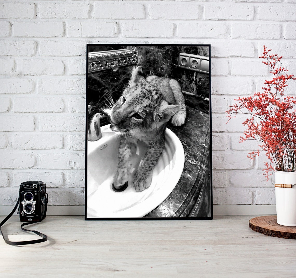 Lion Cub In Bathroom Sink Funny Black And White Animal Poster - Image 3