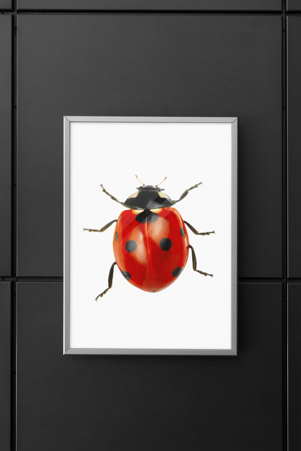 Red Ladybug Macro Photo Cute Nursery Bug Insect Nature Poster - Image 3