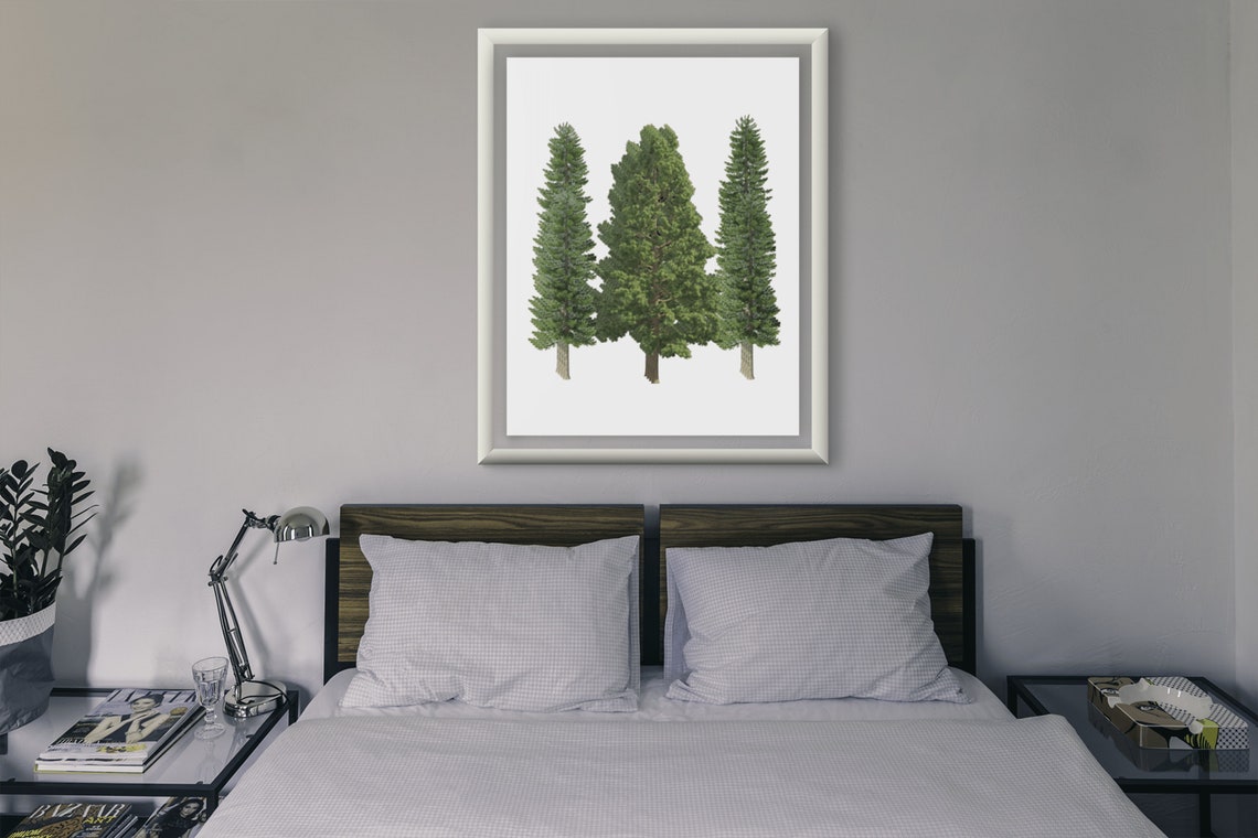 Pine Trees Trio Evergreen Woodland Nursery Forest Wall Decor Poster - Image 7