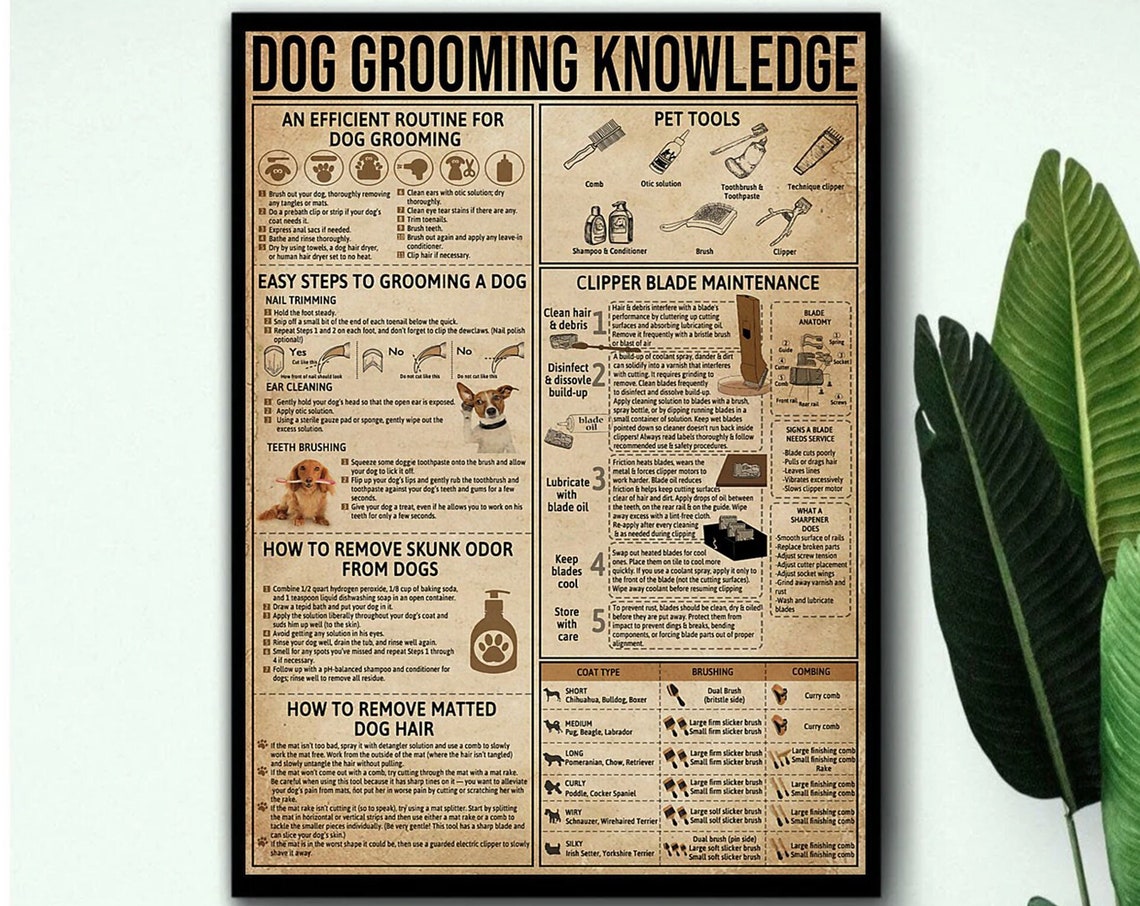 Dog Grooming Knowledge Routine Nail Ear Teeth Care Guide Poster - Image 3