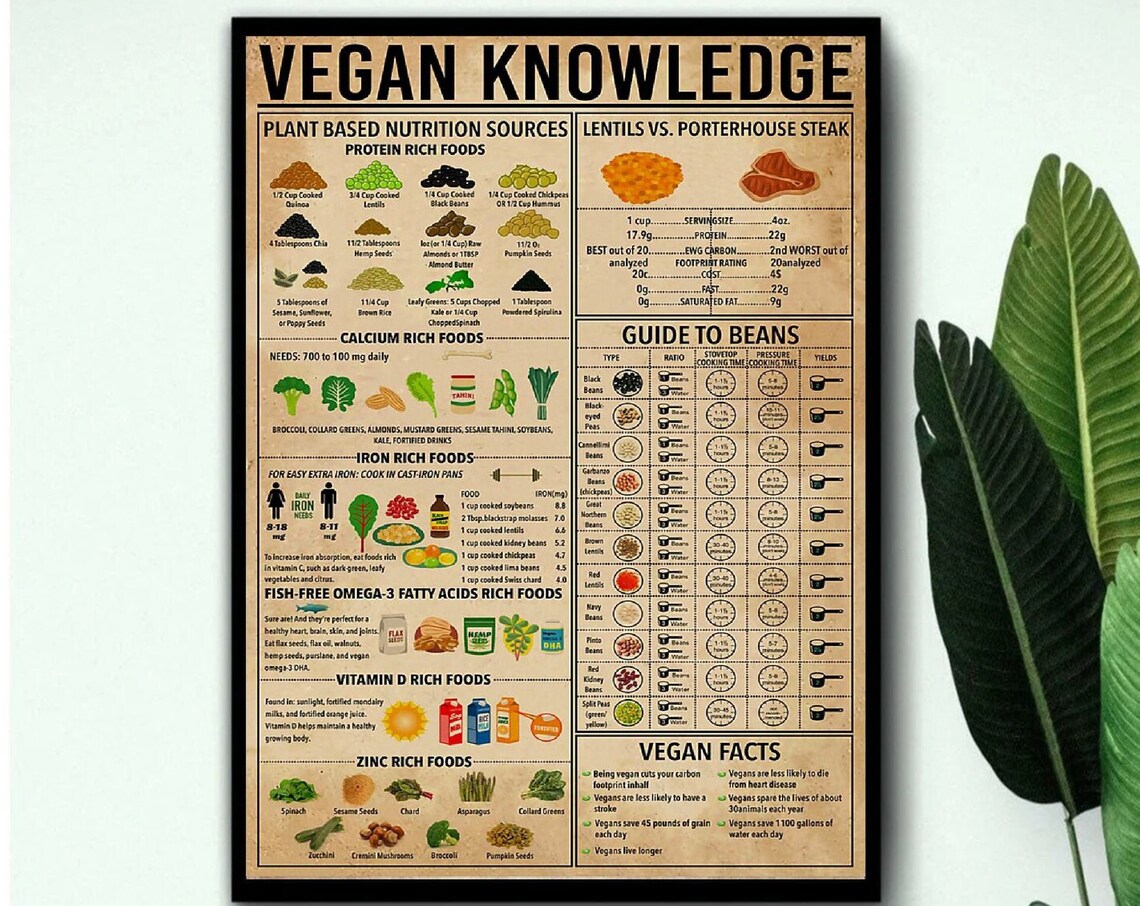 Vegan Knowledge Kitchen Wall Guide To Beans - Image 3