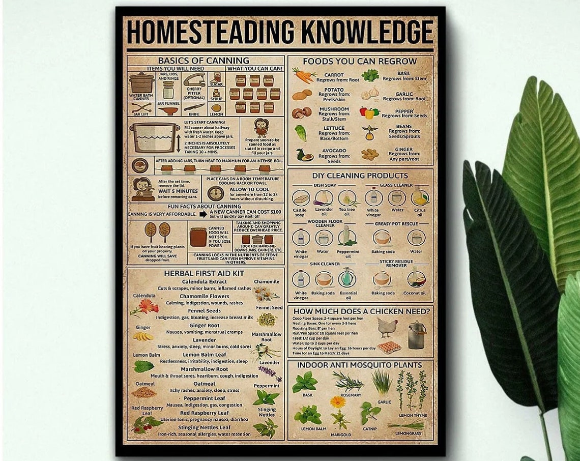 Homesteading Knowledge Canning Regrow Foods Herbal First Aid Poster - Image 3