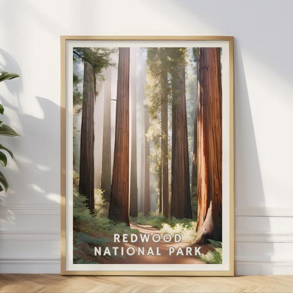 Redwood National Park Poster California Forest Wall Art Giant Redwoods Print Nature Decor Usa Travel Gift For Living Room Or Office