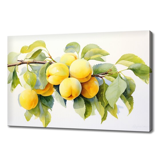 Yellow Plums Fruits Watercolour Painting Print Fruits Lover Gift Kitchen Restaurant Wall Art Print Colourful Fruits Wall Decor