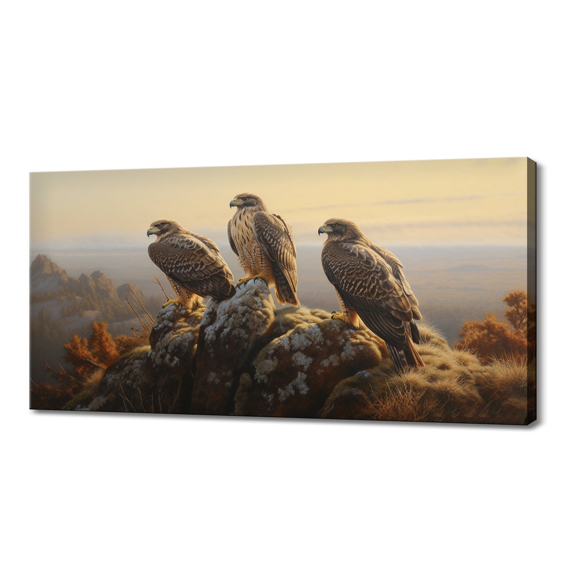 Three Falcons On Rocky Peak At Sunset Majestic Wild Birds Art Poster