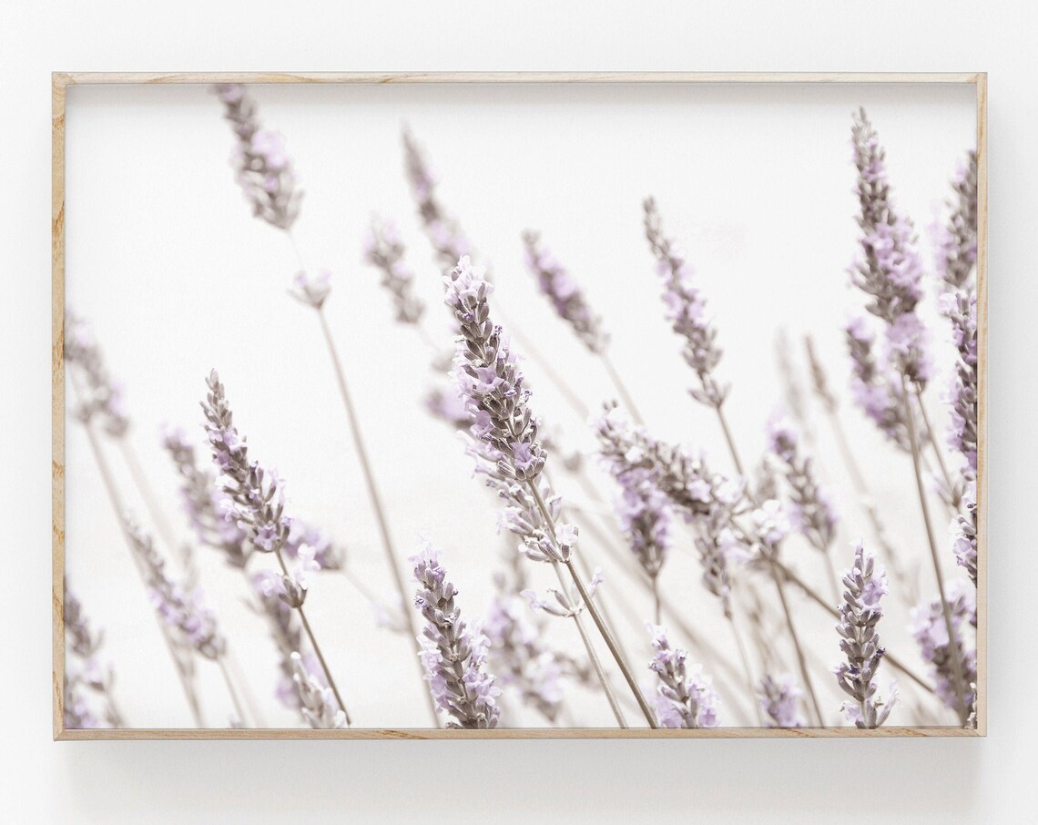 Lavender Flower Botanical Art Print, Floral Wall Decor - Image 2