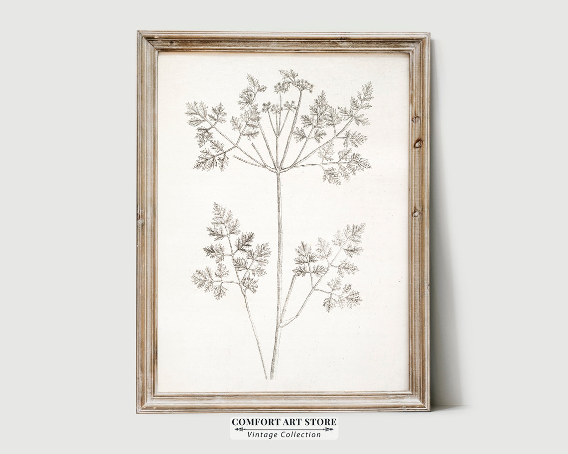 Vintage Botanical Herb Sketch Sepia Line Drawing Wall Decor Poster