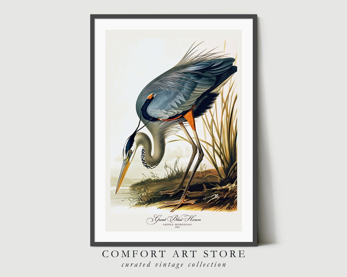 Great Blue Heron Vintage Nature Poster Print - Image 4