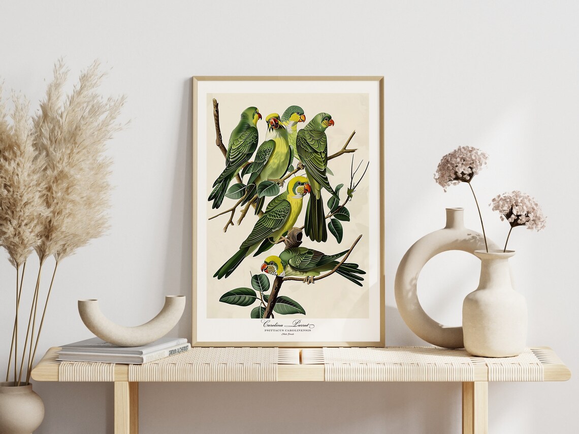 Carolina Parrots Vintage Ornithology Bird Plate Style Poster - Image 3